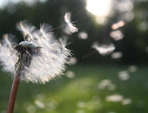 I’m listening, wind